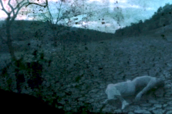 Les Eaux dormantes 